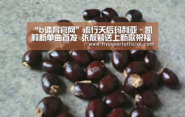 “b体育官网”流行天后玛利亚·凯莉新单曲首发 张靓颖送上新歌祝福(图1) b体育